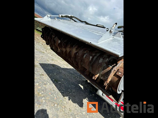 Zago kinglion 170 mengkraan - afbeelding 12 van  26