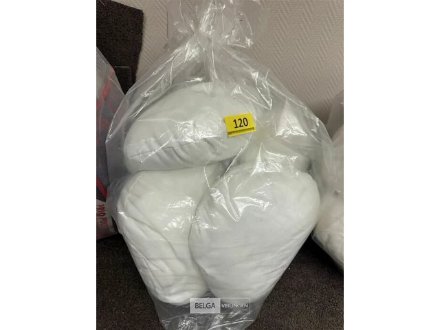 Zak met diverse kussens - afbeelding 1 van  1