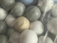 Zakken met ballen voor ballenbad (2x) - afbeelding 2 van  3