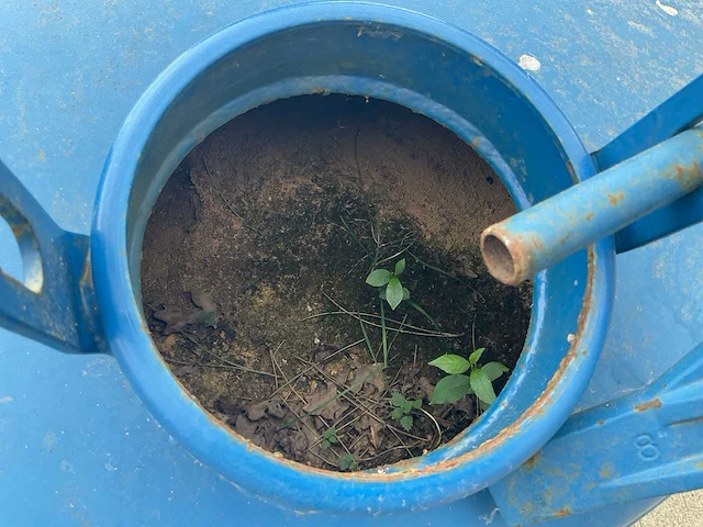 Zandfilter tank - afbeelding 6 van  6
