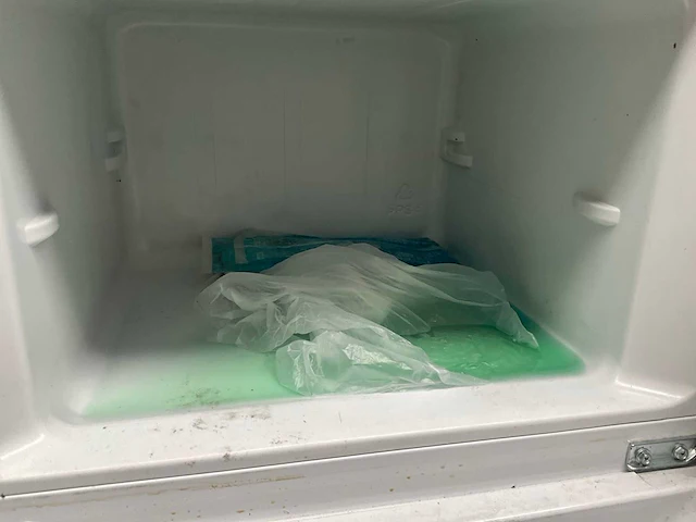 Zanussi ztae24ew koel/vriescombinatie - afbeelding 8 van  9