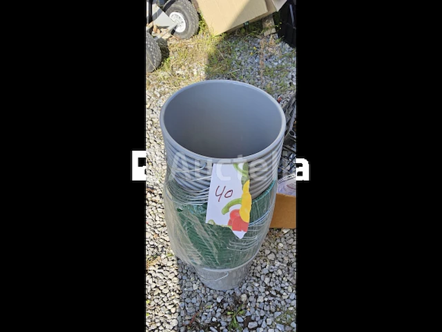 Zeehonden - afbeelding 1 van  1