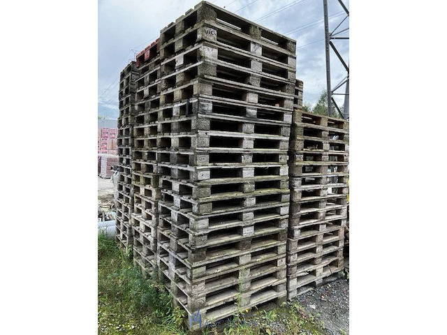 Zeer grote partij palleten bestaande uit plm 420 europalleten - afbeelding 4 van  16