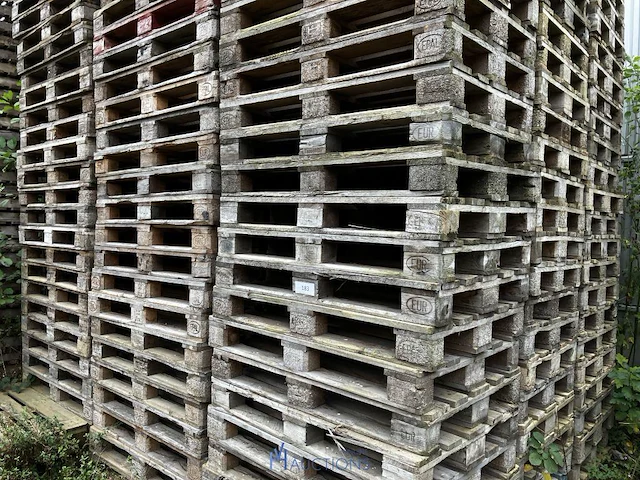 Zeer grote partij palleten bestaande uit plm 420 europalleten - afbeelding 9 van  16