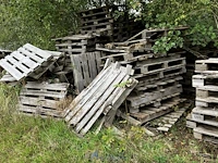 Zeer grote partij palleten bestaande uit plm 420 europalleten - afbeelding 13 van  16