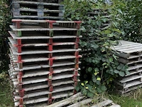 Zeer grote partij palleten bestaande uit plm 420 europalleten - afbeelding 14 van  16