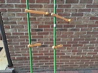Zeisbomen 2 stuks - afbeelding 1 van  4