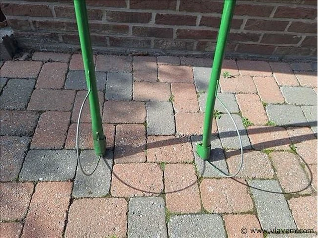 Zeisbomen 2 stuks - afbeelding 2 van  4