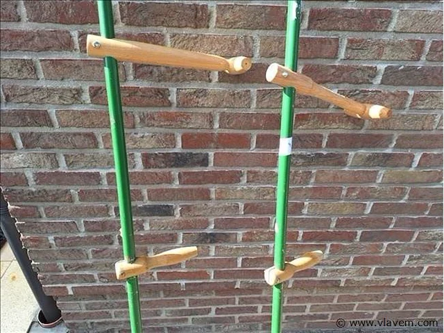Zeisbomen 2 stuks - afbeelding 3 van  4