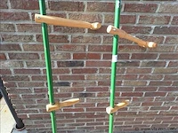 Zeisbomen 2 stuks - afbeelding 3 van  4