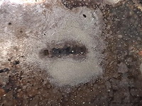 Zilver&verzilverd - afbeelding 2 van  11