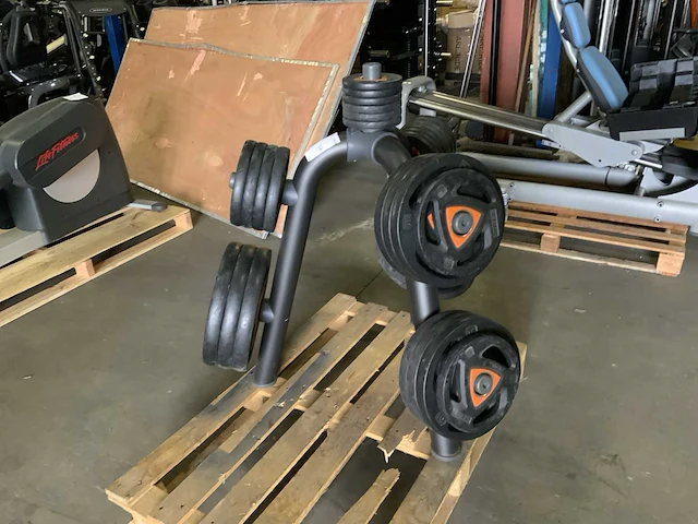 Ziva element 50mm spin ziva schijven 212,5kg krachtstation - afbeelding 2 van  7