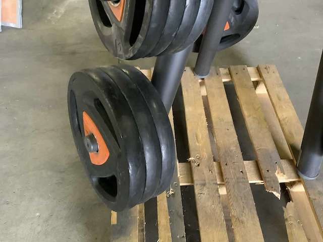 Ziva element 50mm spin ziva schijven 212,5kg krachtstation - afbeelding 4 van  7