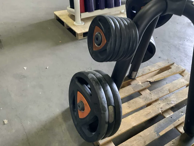 Ziva element 50mm spin ziva schijven 212,5kg krachtstation - afbeelding 6 van  7