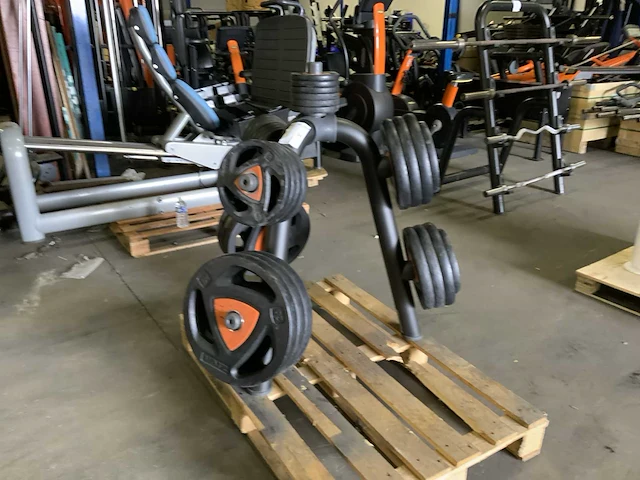 Ziva element 50mm spin ziva schijven 212,5kg krachtstation - afbeelding 7 van  7