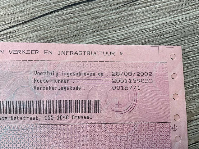 Zm dolly dolly - afbeelding 8 van  19