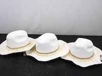 Zomerhoed (x3) - afbeelding 1 van  3