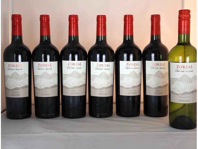 Zorzal terroir unico 2012 (x7) - afbeelding 1 van  4