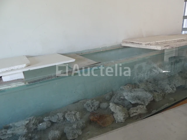 Zoutwater aquarium - afbeelding 1 van  9