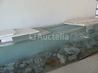 Zoutwater aquarium - afbeelding 1 van  9