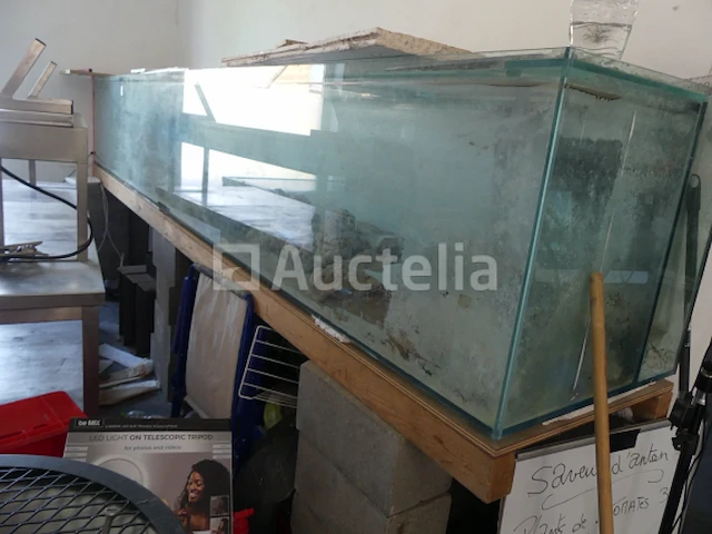 Zoutwater aquarium - afbeelding 2 van  9