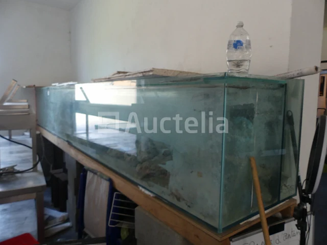 Zoutwater aquarium - afbeelding 3 van  9