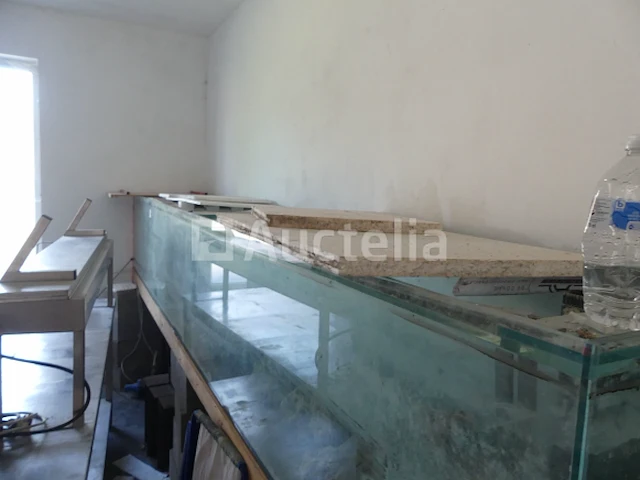 Zoutwater aquarium - afbeelding 4 van  9