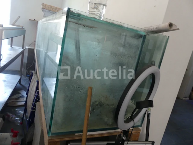 Zoutwater aquarium - afbeelding 5 van  9