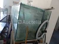 Zoutwater aquarium - afbeelding 5 van  9