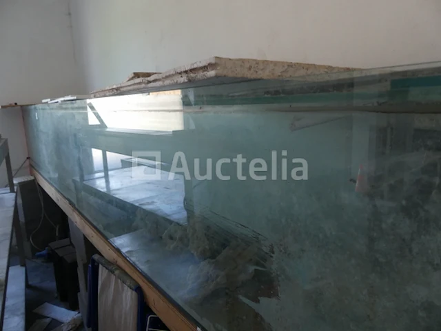 Zoutwater aquarium - afbeelding 6 van  9