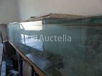 Zoutwater aquarium - afbeelding 6 van  9