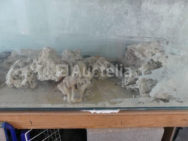 Zoutwater aquarium - afbeelding 7 van  9