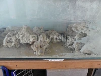 Zoutwater aquarium - afbeelding 7 van  9