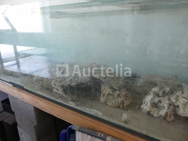 Zoutwater aquarium - afbeelding 8 van  9