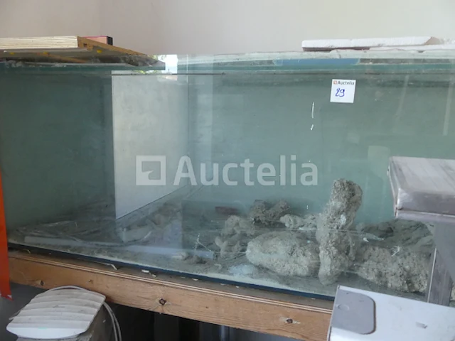 Zoutwater aquarium - afbeelding 9 van  9