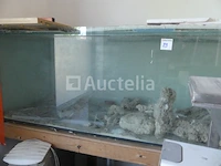 Zoutwater aquarium - afbeelding 9 van  9