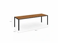 Zwarte en houten tuinmeubelen - tafel 240 cm met 10 stapelbare stoelen - afbeelding 6 van  7