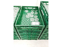 - - glaswerk: amuse/dessertglas (253x) - afbeelding 2 van  3