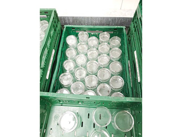 - - glaswerk: amuse/dessertglas (253x) - afbeelding 3 van  3