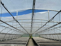 +- 260 m2 - tunnelserre - afbeelding 3 van  9