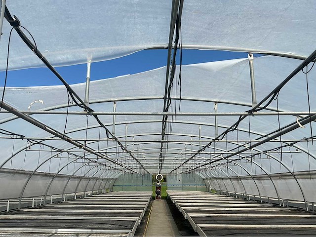 +- 260 m2 serre plantenkwekerij - afbeelding 3 van  9