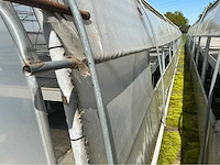 +- 260 m2 serre plantenkwekerij - afbeelding 4 van  9