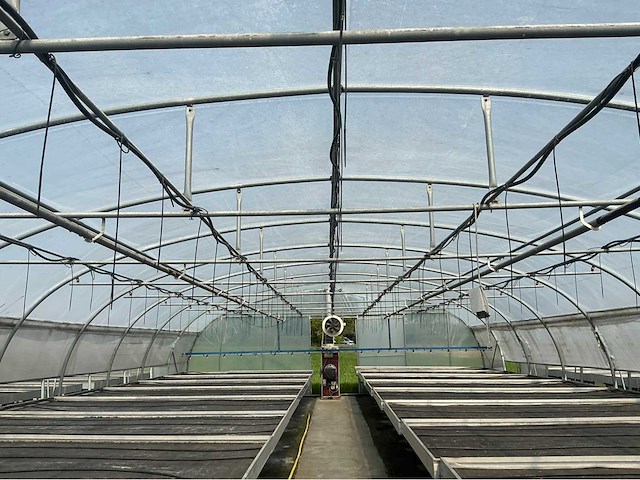 +- 260 m2 serre plantenkwekerij - afbeelding 5 van  9