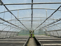 +- 260 m2 serre plantenkwekerij - afbeelding 5 van  9