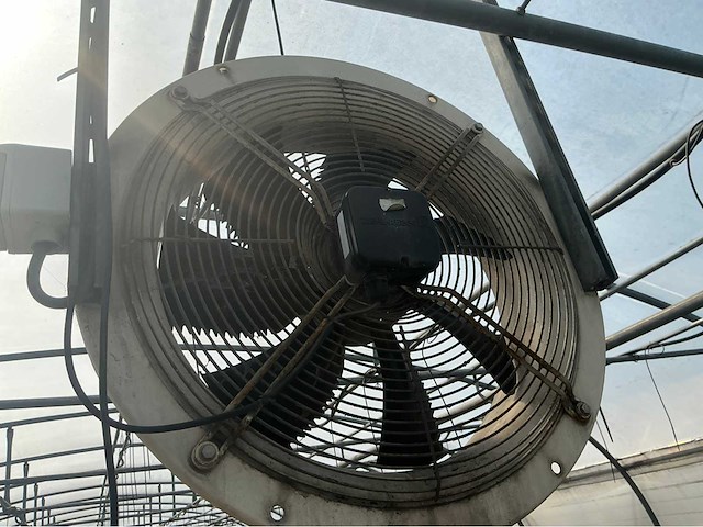 +- 260 m2 serre plantenkwekerij - afbeelding 1 van  1