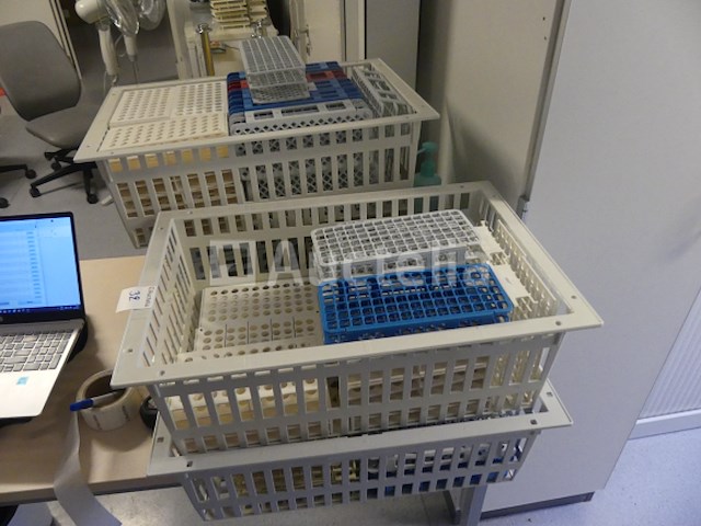 +/- 70 x 13 mm buizenrekken - afbeelding 2 van  6