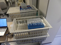 +/- 70 x 13 mm buizenrekken - afbeelding 2 van  6