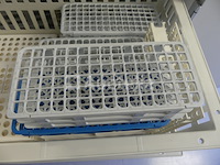 +/- 70 x 13 mm buizenrekken - afbeelding 3 van  6