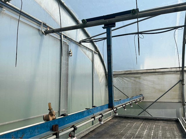 +-260 m2 - tunnelserre - afbeelding 5 van  8