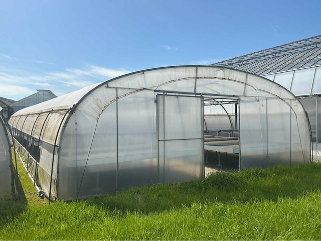 +-260 m2 - tunnelserre - afbeelding 7 van  8